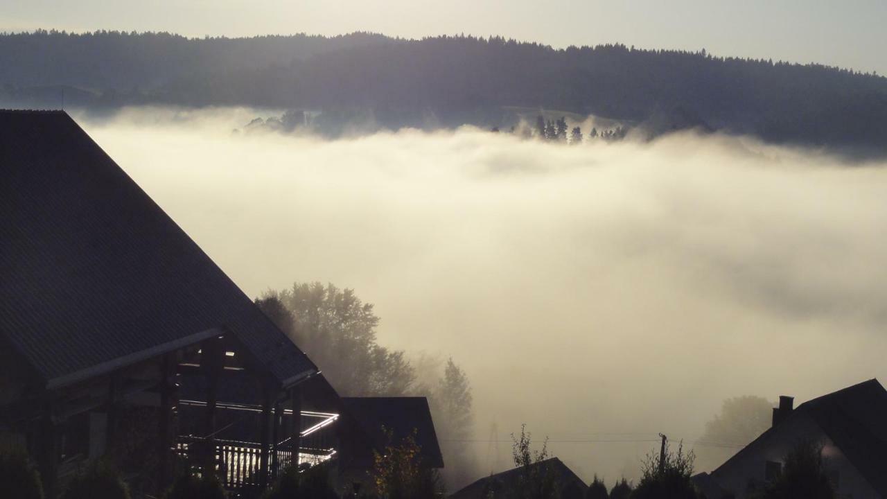 Wilkowka Villa Волковия Екстериор снимка