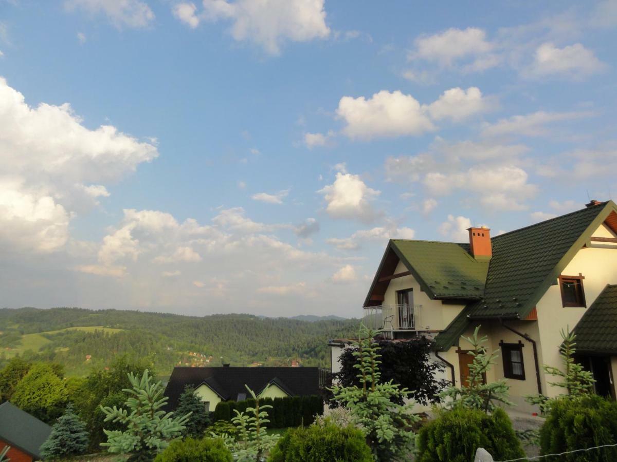 Wilkowka Villa Волковия Екстериор снимка